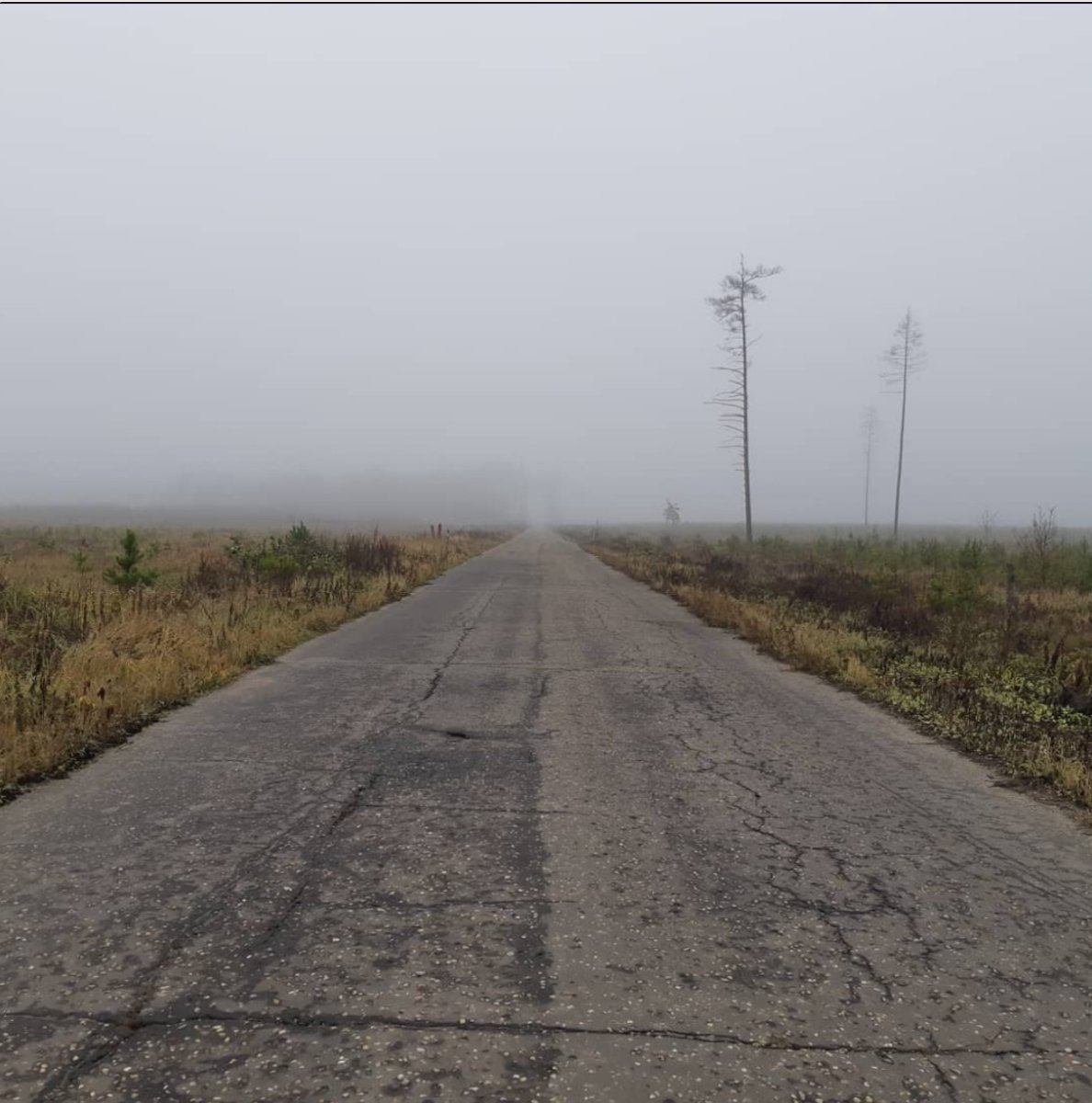 Дорога в будущее.jpg