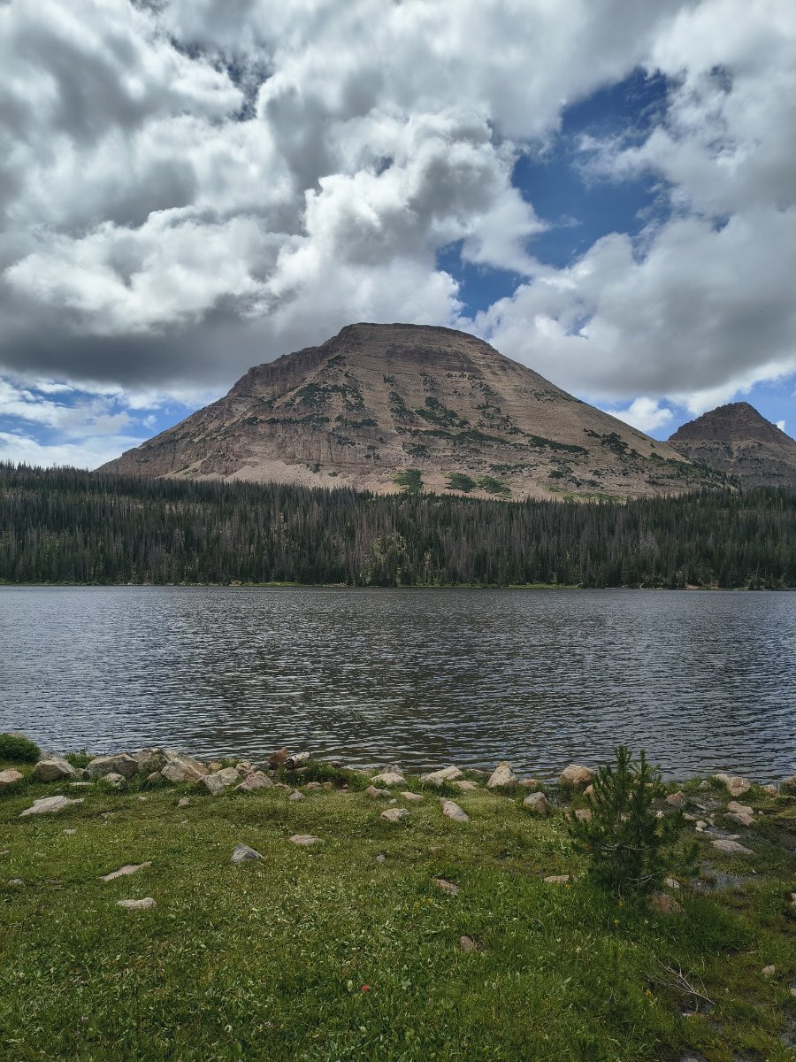 IMG_20260722_143611184_HDR.jpg