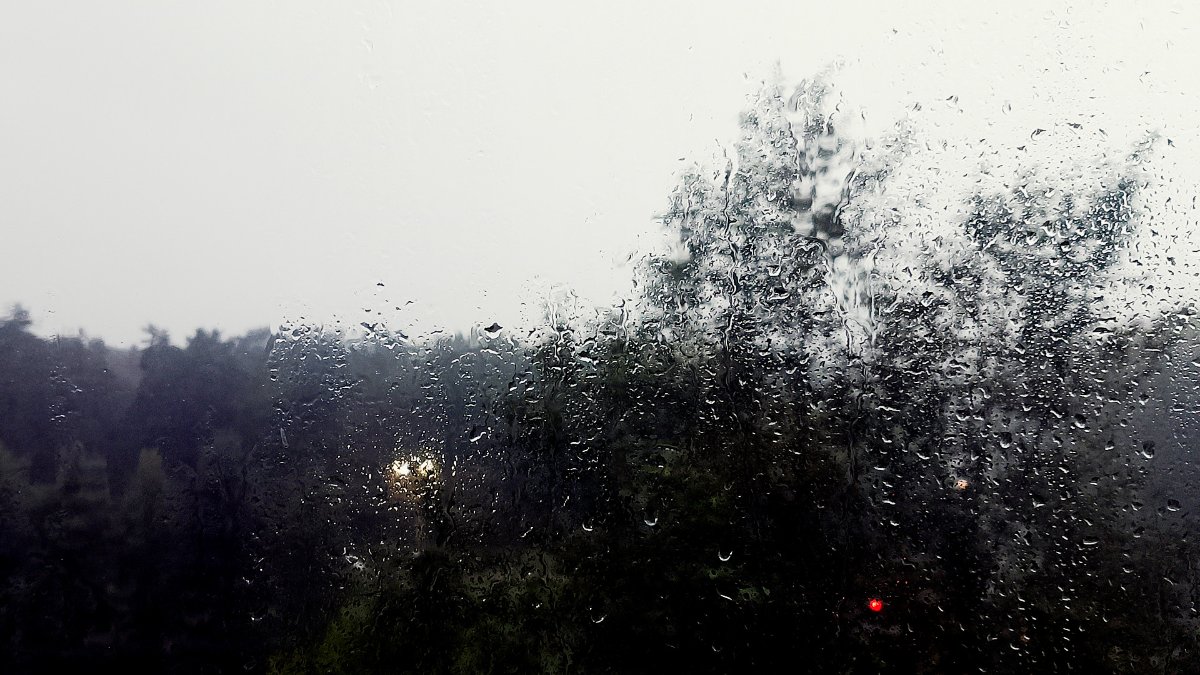 rain1.jpg