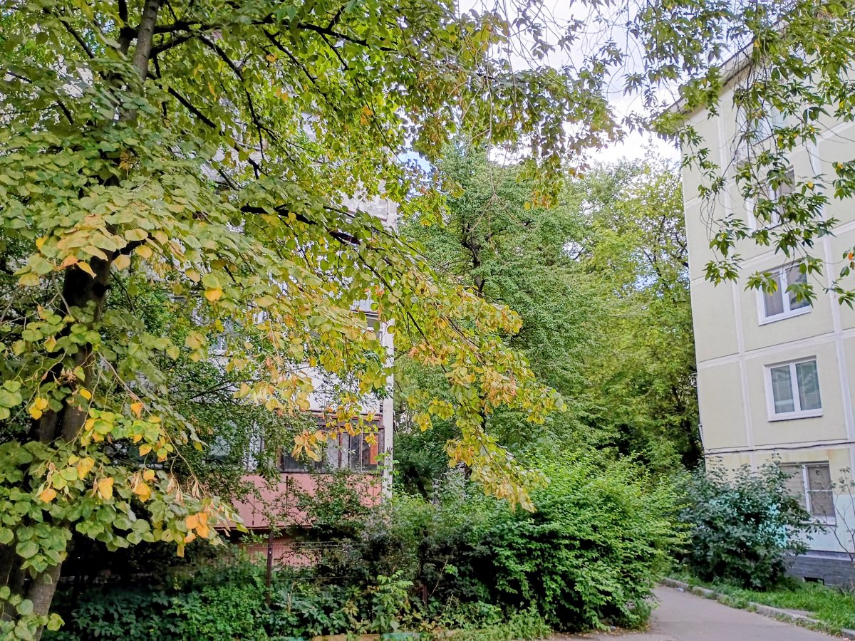 IMG_20260806_152824812_HDR~2.jpg