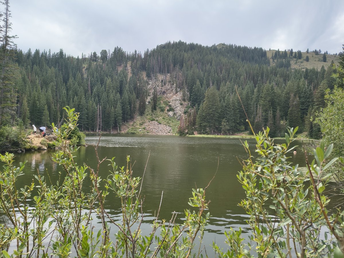 IMG_20260808_151014689_HDR.jpg