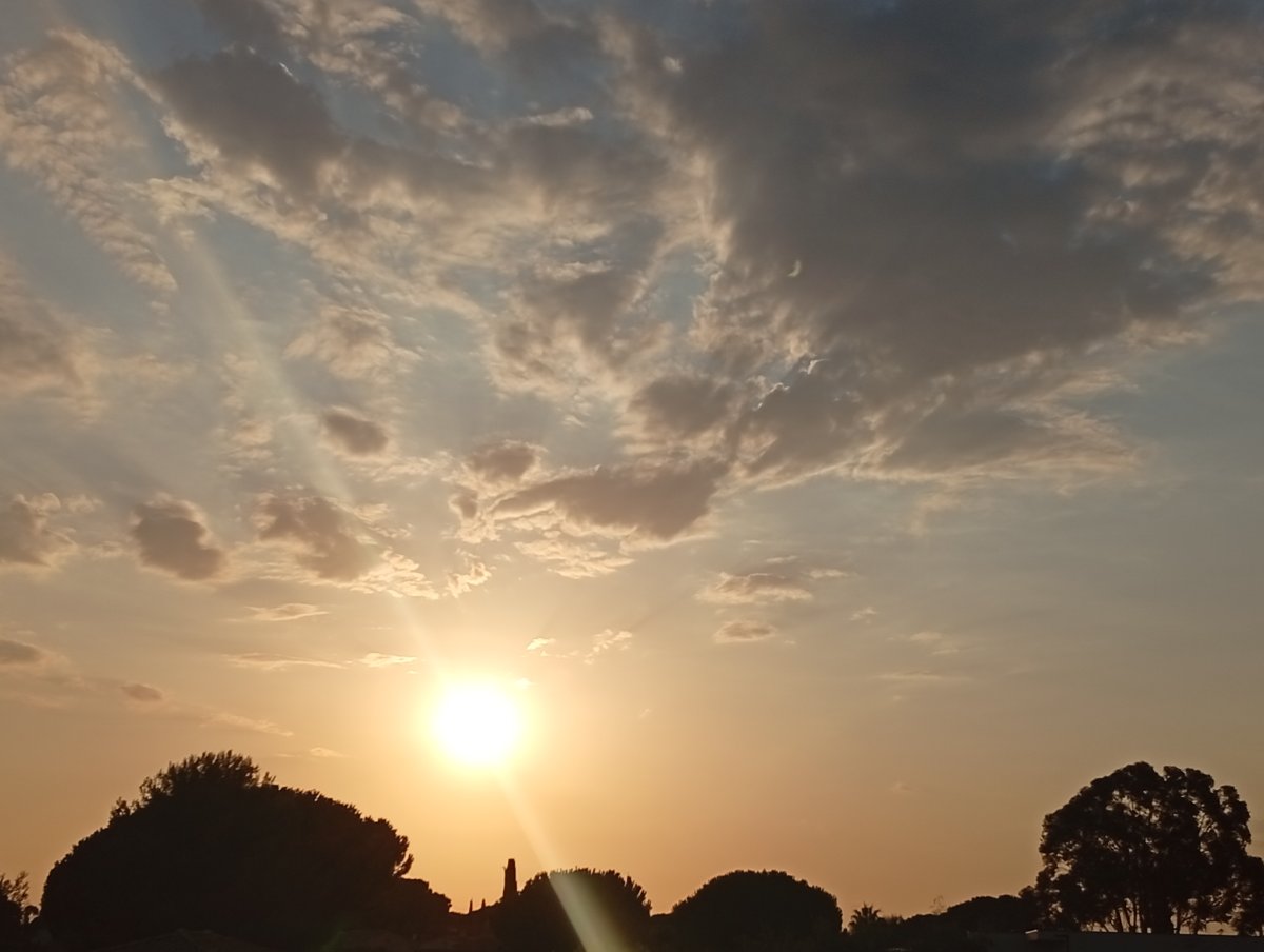 12 aug 2026.jpg