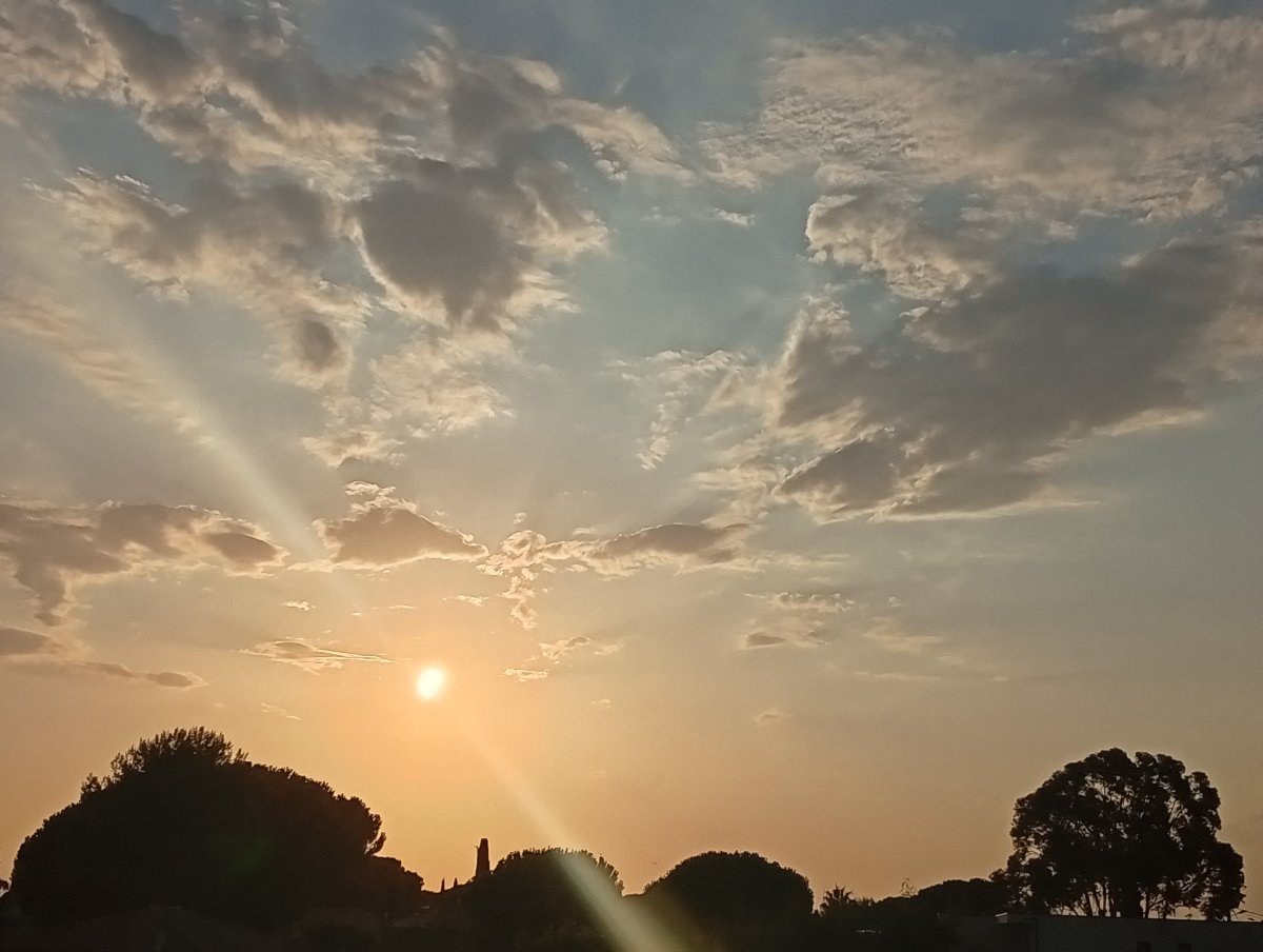 12 aug2026.jpg
