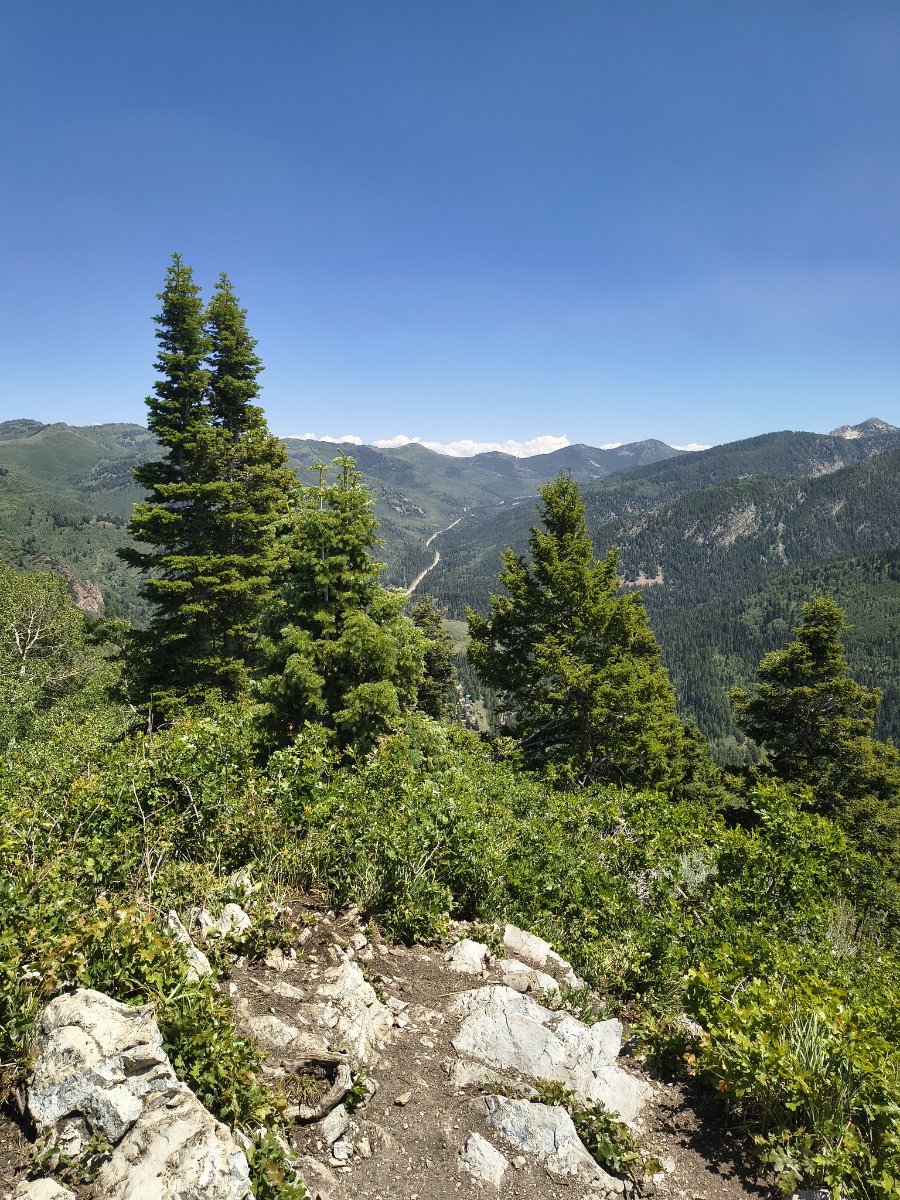 IMG_20260626_142000679_HDR.jpg