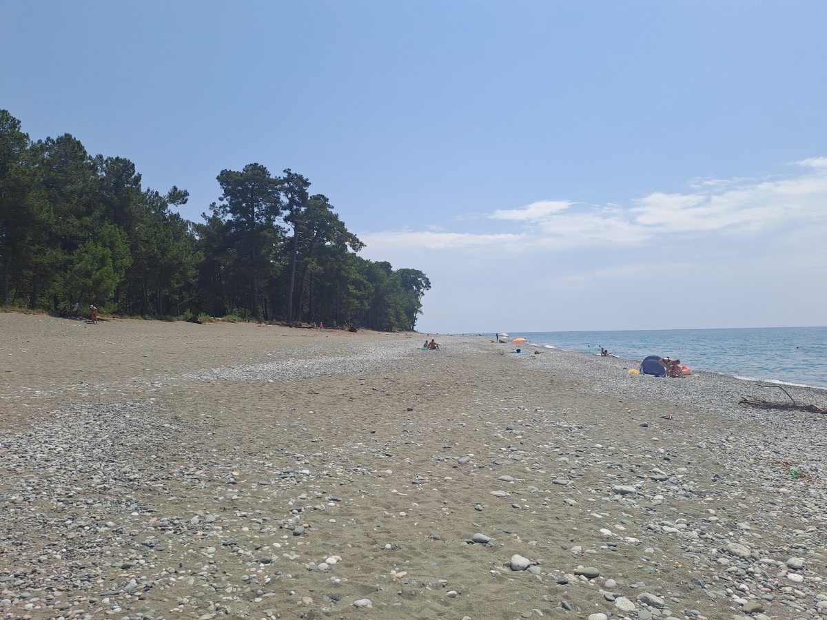 20260809_120532.jpg