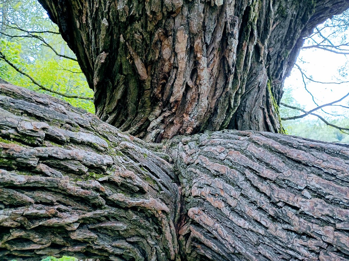 IMG_20260820_164000023_HDR~2.jpg