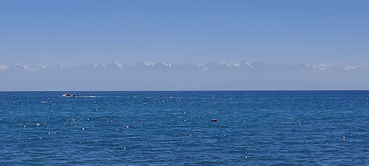 20260827_131943.jpg