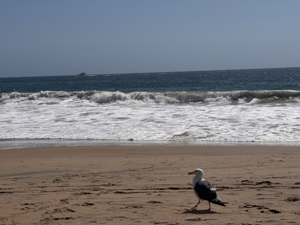 IMG_7105.jpeg