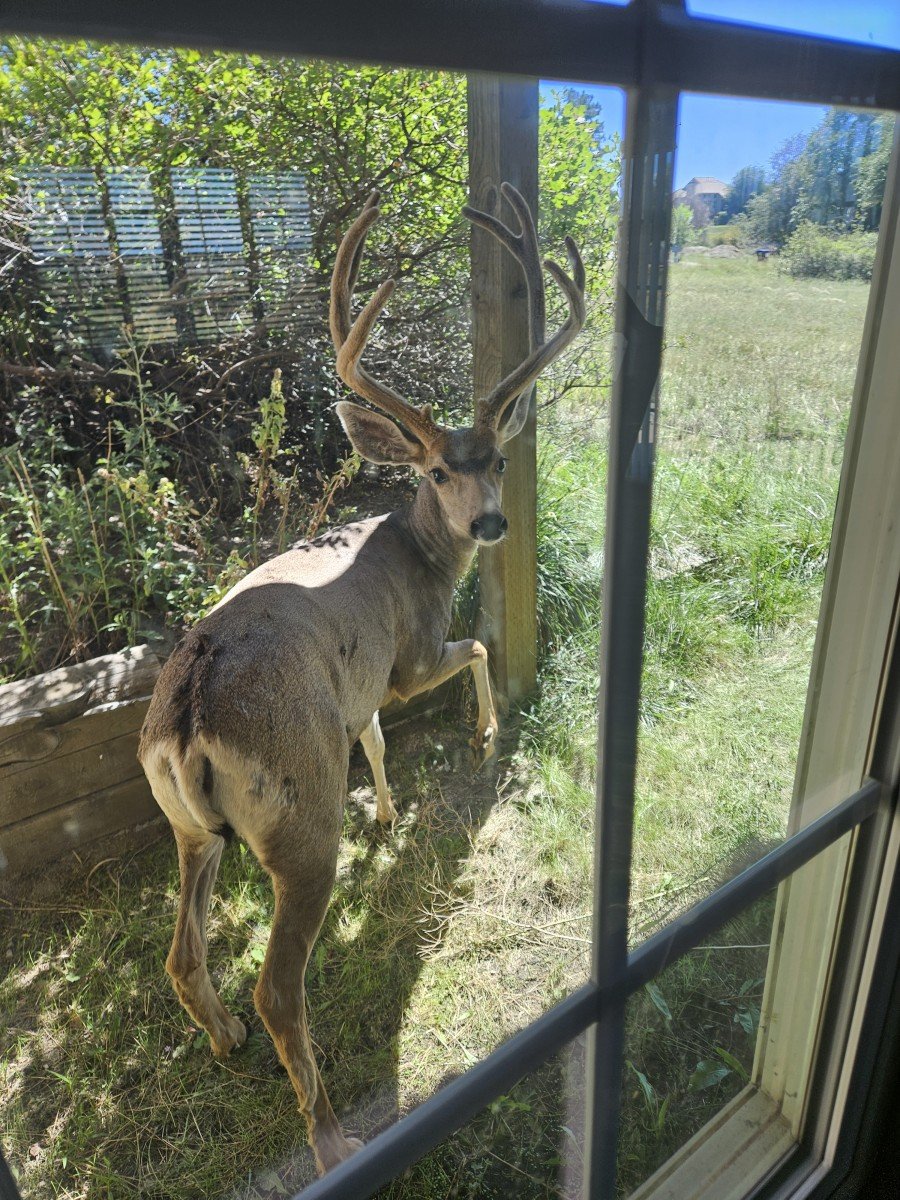 20260902_113312.2.jpg