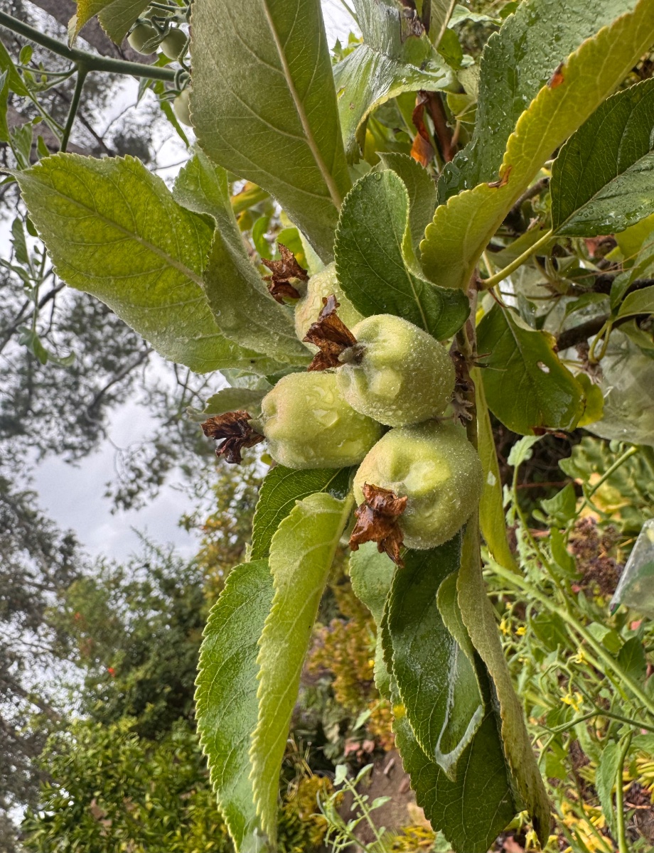IMG_7120.jpeg