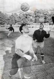 images (1) (10).jpeg