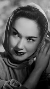 download (1) (24).jpeg