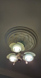 20230412_234902.jpg