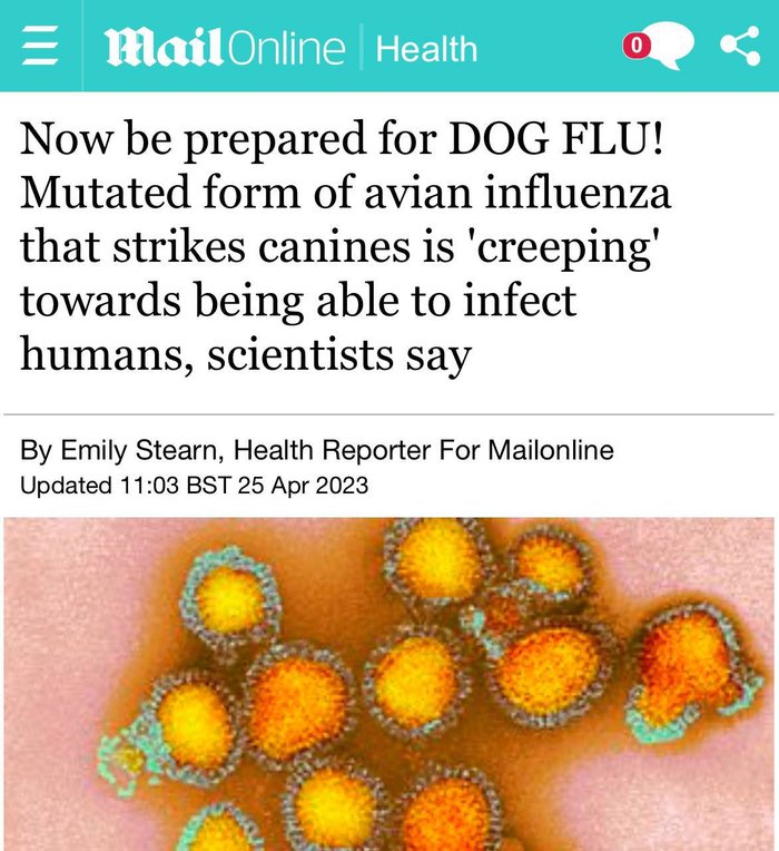 87255E32-C560-4DC5-B04E-B5EB1545212D.jpeg