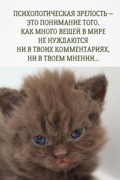 IMG_3592.jpeg