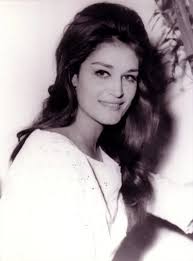 download - 2024-01-17T234352.701.jpeg