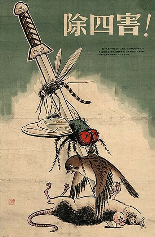 Kill_bird_and_insect.jpg