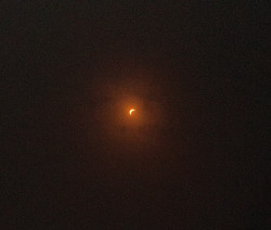 IMG_5153.jpeg