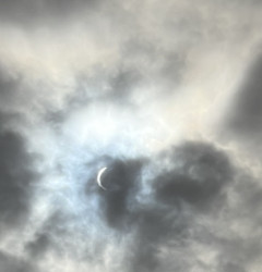 IMG_7339.jpeg