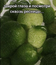 IMG_0914.jpeg