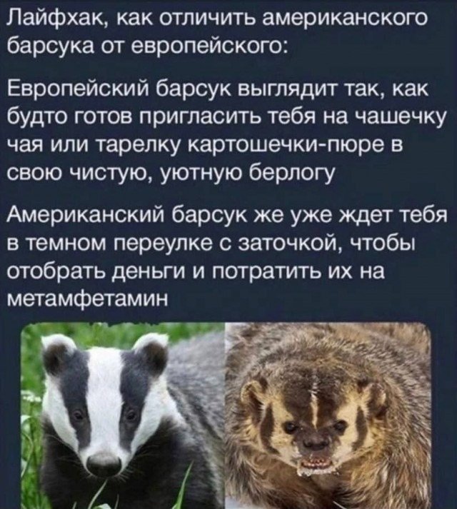 Изображение WhatsApp 2024-10-05 в 18.20.41_1f2d4fa6.jpg