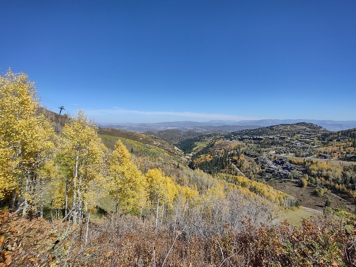 IMG_20241003_131138811_HDR.jpg