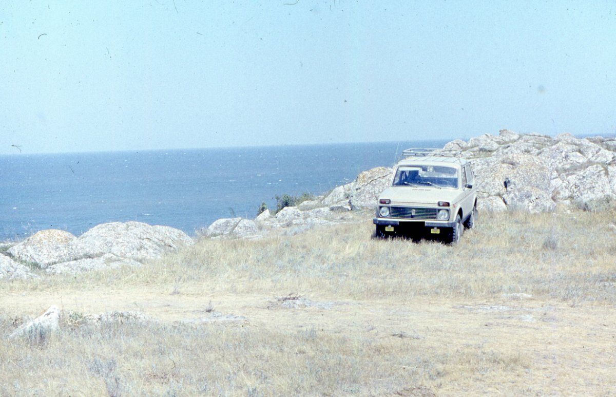 Niva_Edited_1_1.jpg