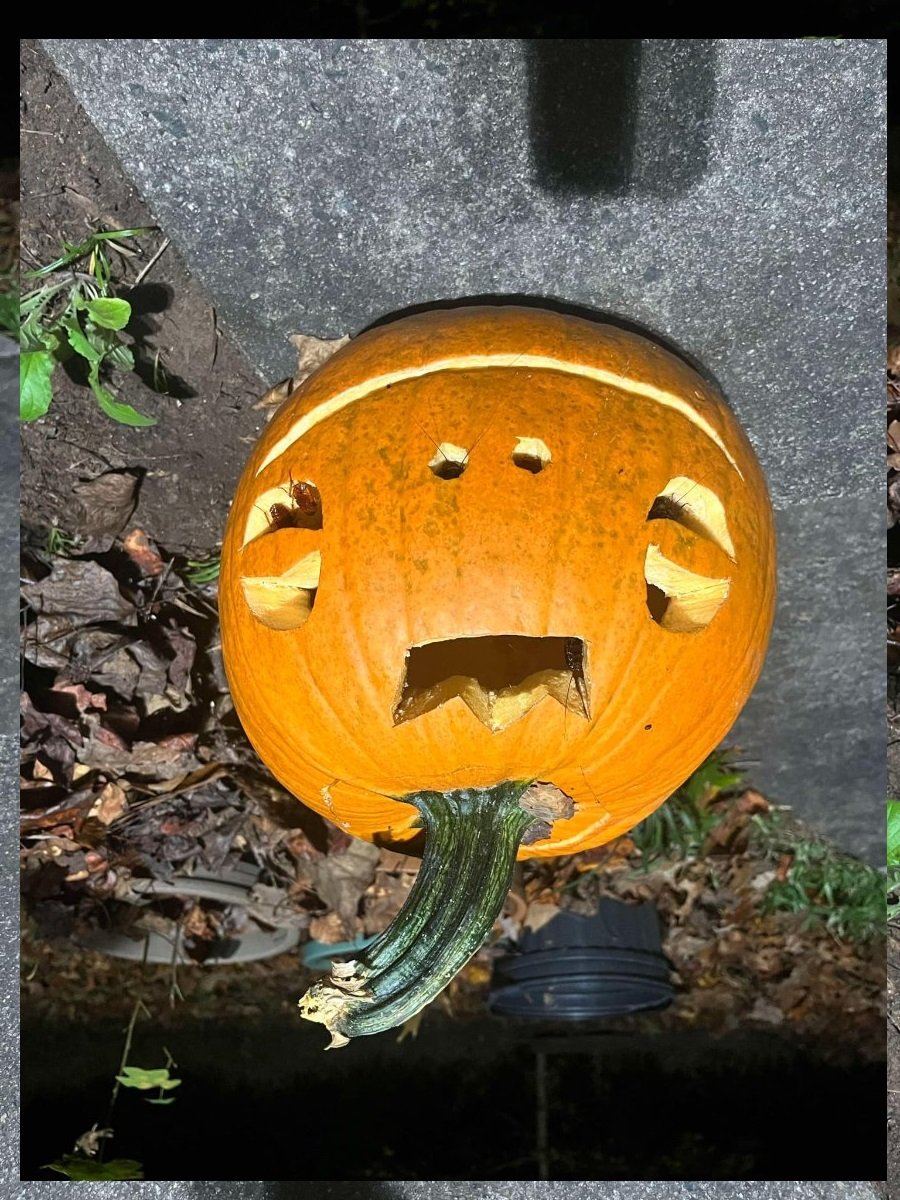 pumpkin.jpg