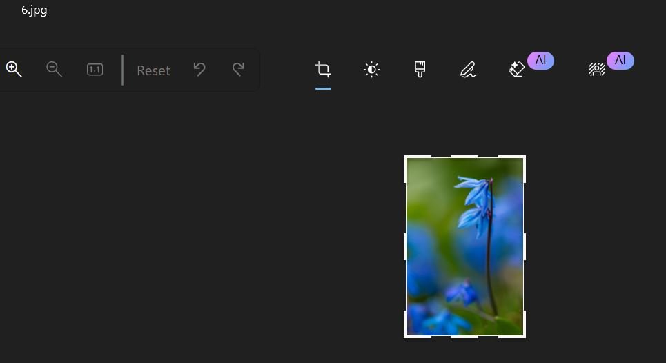 Capture.JPG