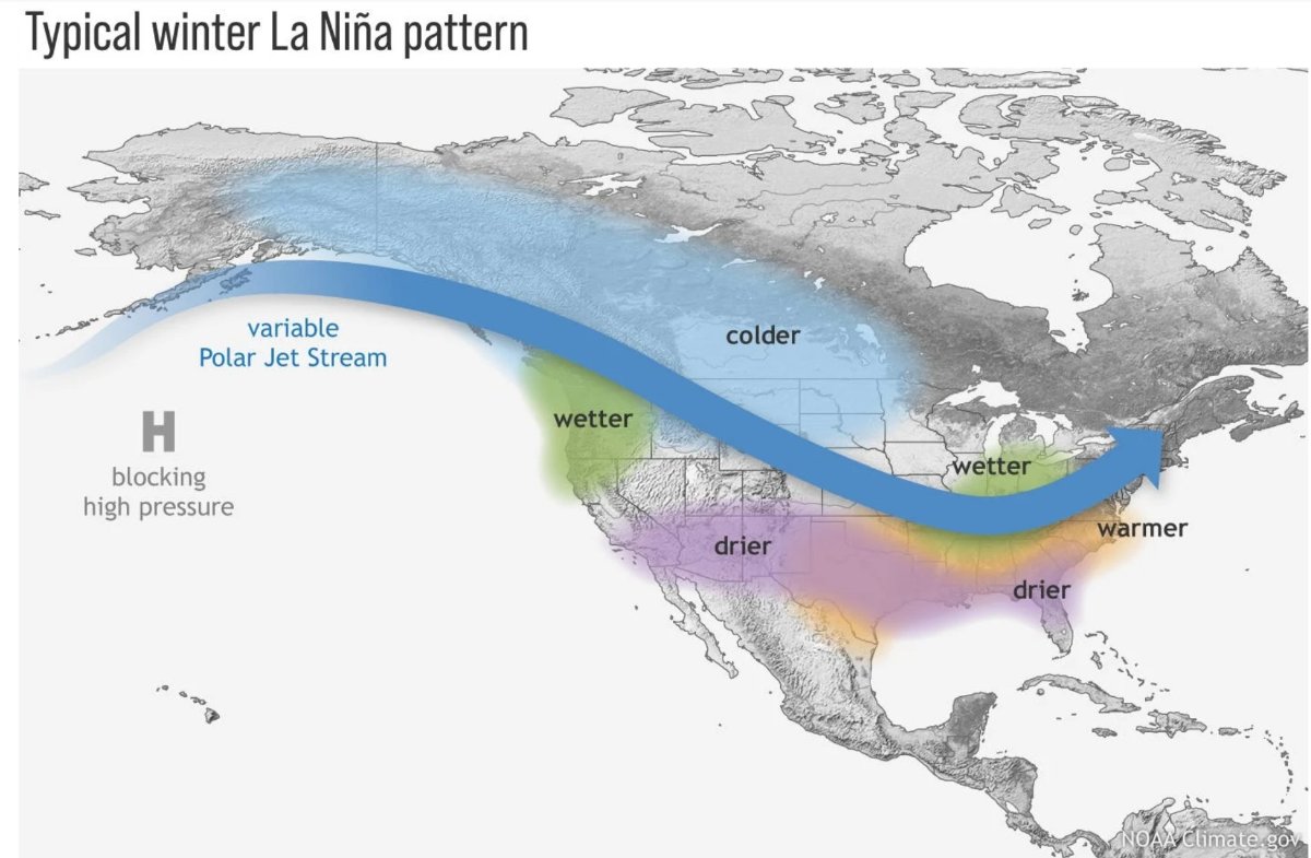 Screenshot 2025-10-09 191030.jpg